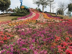 -东莞植物园