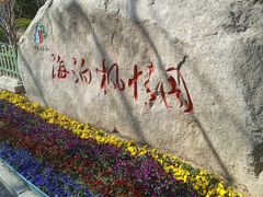 -北岭山森林公园