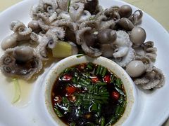 -张鸟园农家乐(张鸟园店)