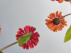 -山明水秀大饭店