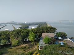 -大湾区中央湿地公园