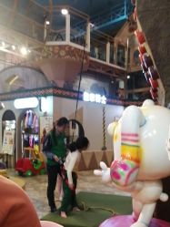 -卡通尼·Safari非洲探索乐园·生日会(金桥国际商业广场店)