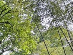 -宝岩生态观光园