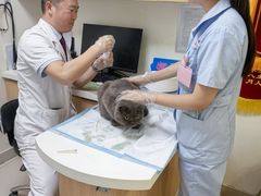 -全心全意连锁动物医院·特色中医诊疗(会城门分院)