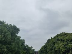 -大湾区中央湿地公园