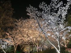 -石湖景区