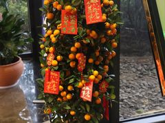 -上海怡沁园度假酒店