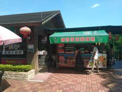-大湾区中央湿地公园