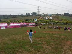 -紫颐香薰山谷景区