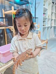 -酷嗒动物文化乐园(cutezoo西溪乐天城店)