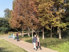 -白鹭湾湿地公园