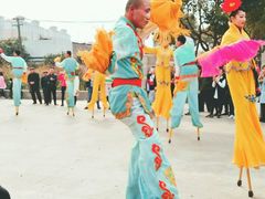 -南汇桃花村