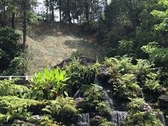 -深圳仙湖植物园