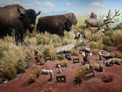 -陕西自然博物馆