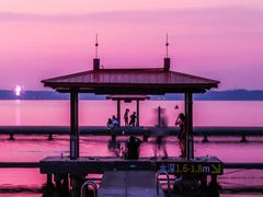 -东湖落雁景区