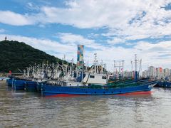 -沈家门渔港
