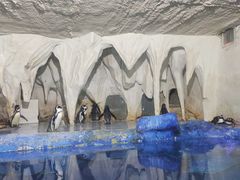 -太平洋海底世界