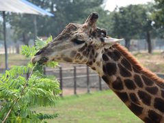 -西安秦岭野生动物园