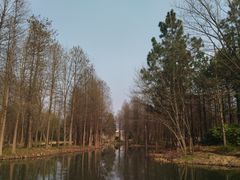 -西溪国家湿地公园