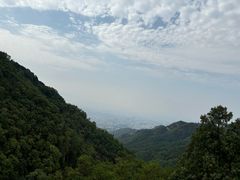 -泰山风景名胜区