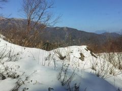 -秦岭风景区