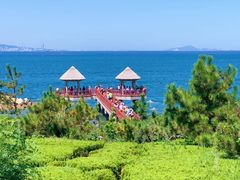 -烟台海昌鲸鲨海洋公园