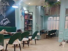 -安格丽娜·狗咖·猫咖羊驼咖(春熙路百盛商场店)