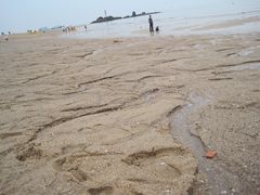 IMG_8660-白城沙滩