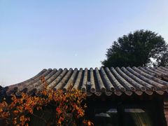 -糖房咖啡(南锣鼓巷店)