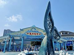 -海合安成都极地海洋公园