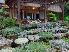 -山菌美食苑(振兴路店)