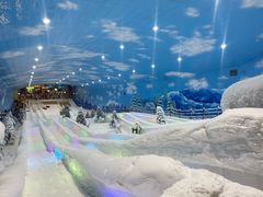 -世界之窗阿尔卑斯冰雪世界