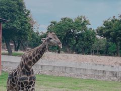 -西安秦岭野生动物园