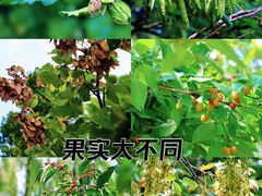 -国家植物园