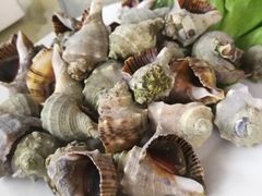 海螺-海香园饭店