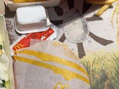-麦当劳(宾水西道店)