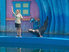 -华夏文旅海洋公园