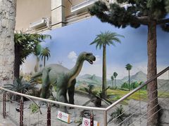 -国家自然博物馆