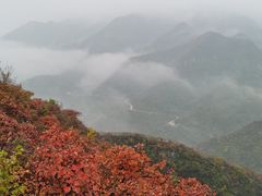 -南窖乡水峪村山情农家