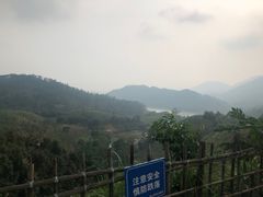 -田心森林公园