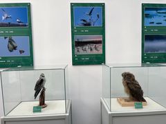 -陕西自然博物馆