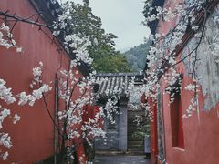 -潭柘寺景区