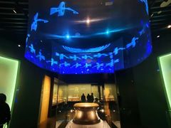 -广西壮族自治区博物馆