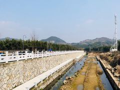 -新建村梅花