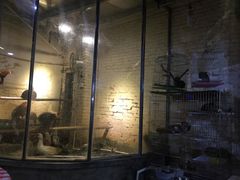 门面-龙桥私厨·姜花菊花过桥鱼·顺德菜(容桂店)