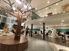 大堂-飞行喵MR PILOT|猫舍·猫咖(静安大融城店)