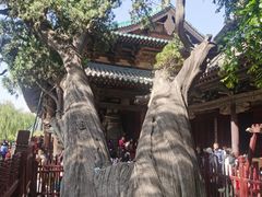 -晋祠博物馆