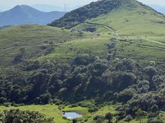 -大姆山草场