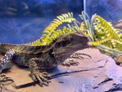 -Zoolung Zoolung动物主题公园(海信广场店)