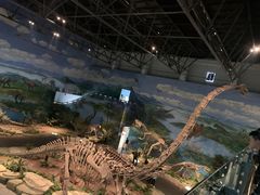 -自贡恐龙博物馆